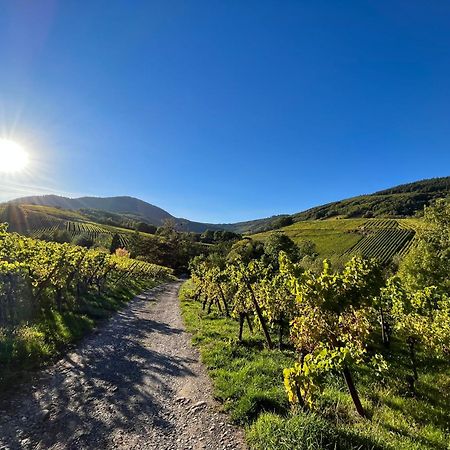 Reichsfeld Chambre Du Vigneron - Domaine Leon Bleesz المظهر الخارجي الصورة