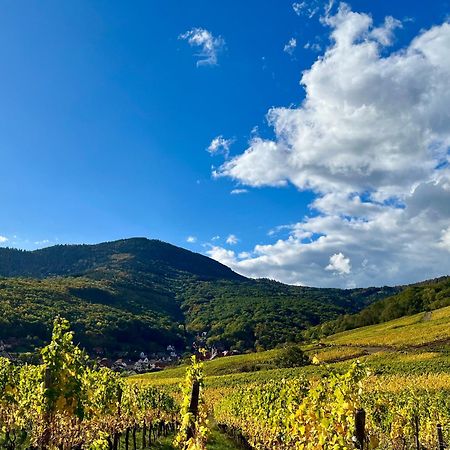 Reichsfeld Chambre Du Vigneron - Domaine Leon Bleesz المظهر الخارجي الصورة