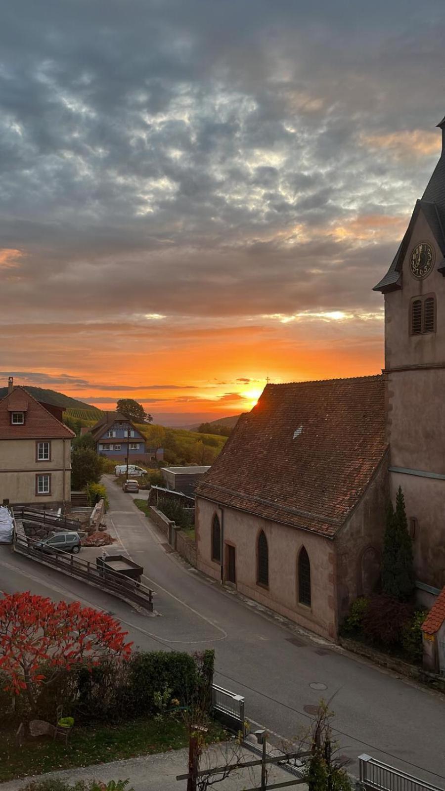 Reichsfeld Chambre Du Vigneron - Domaine Leon Bleesz المظهر الخارجي الصورة