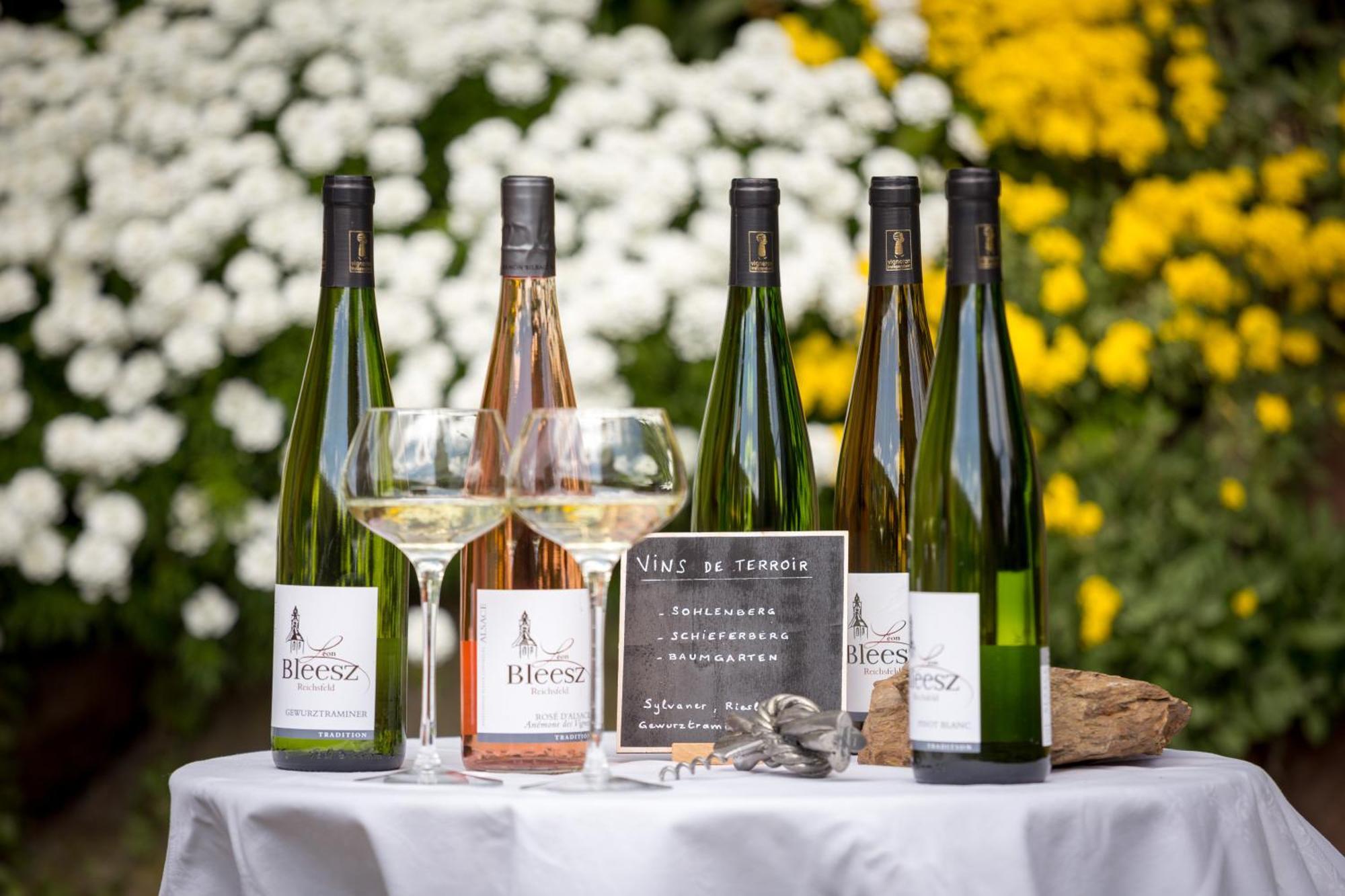 Reichsfeld Chambre Du Vigneron - Domaine Leon Bleesz المظهر الخارجي الصورة