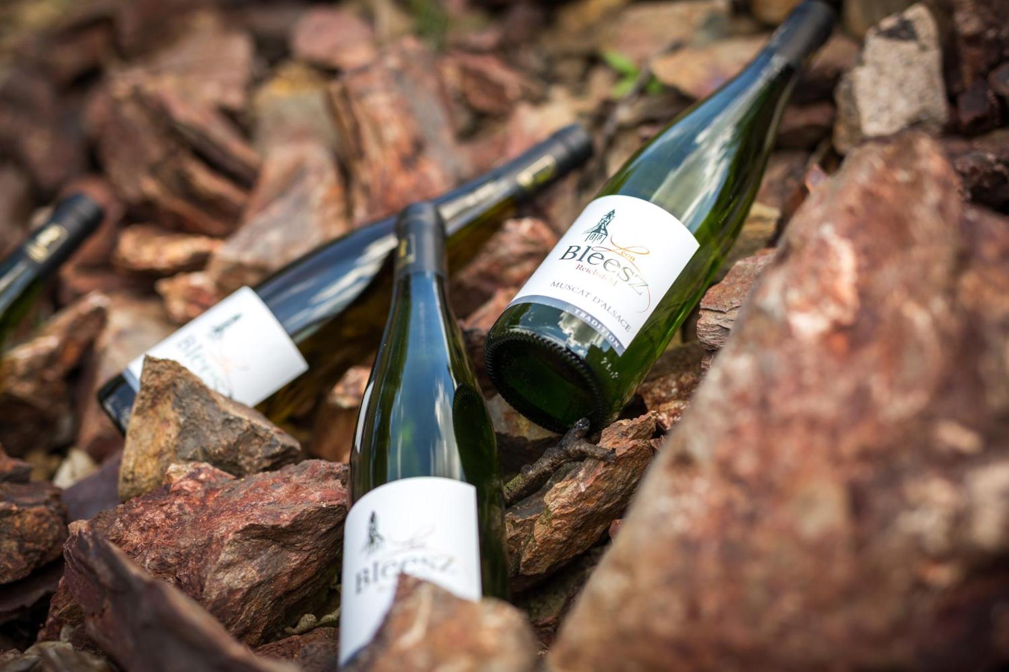 Reichsfeld Chambre Du Vigneron - Domaine Leon Bleesz المظهر الخارجي الصورة